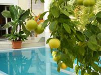 Wellness csomagok és hétvégi félpanziós ajánlatok a Hotel Kakadu háromcsillagos keszthelyi wellness szállodában Wellness csomagok és hétvégi félpanziós ajánlatok a Hotel Kakadu háromcsillagos keszthelyi wellness szállodában