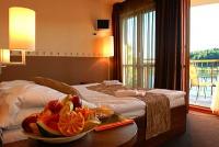 Tó Hotel Bánk*** panorámás kilátás a szobából a Bánki Tóra Tó Hotel Bánk*** panorámás kilátás a szobából a Bánki Tóra